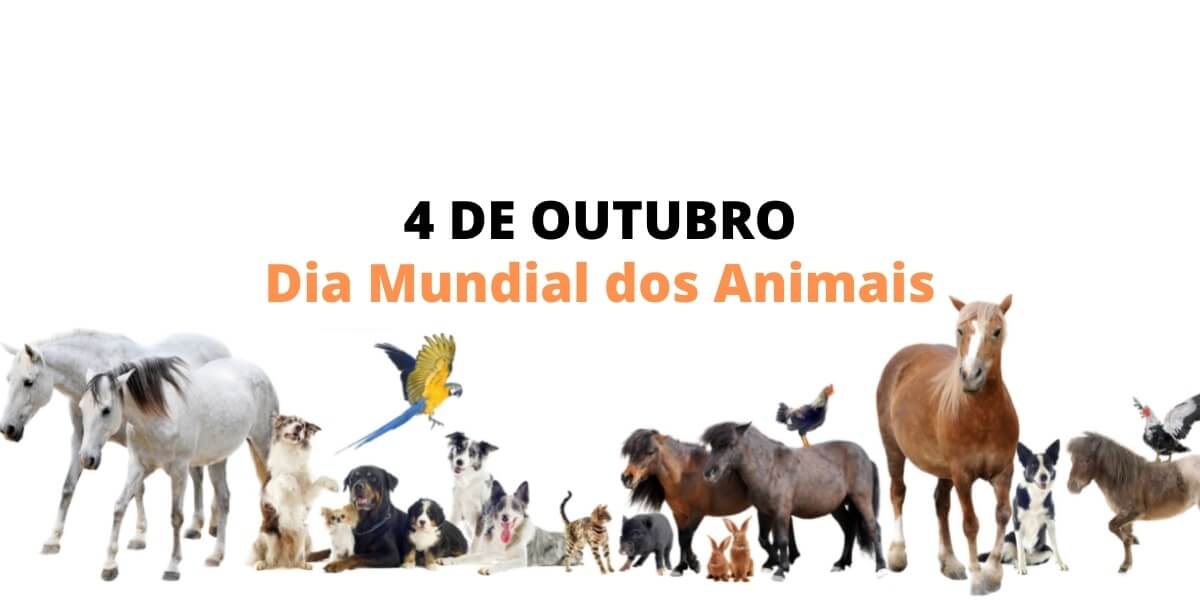 dia mundial dos animais