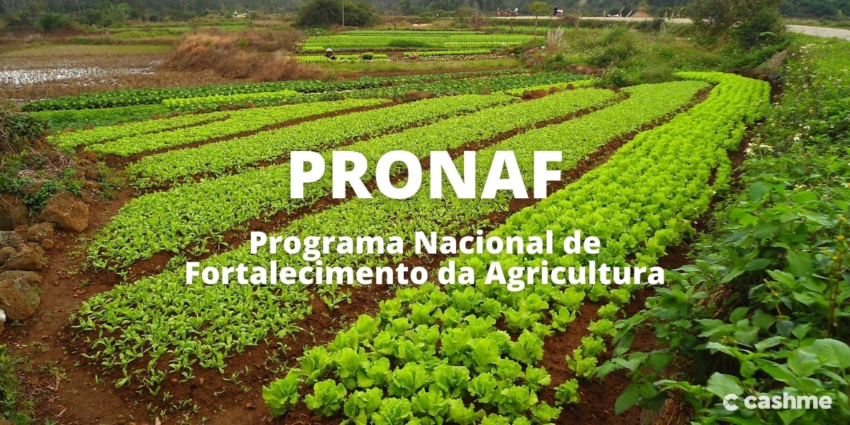 Programa Nacional de Fortalecimento da Agricultura - PRONAF