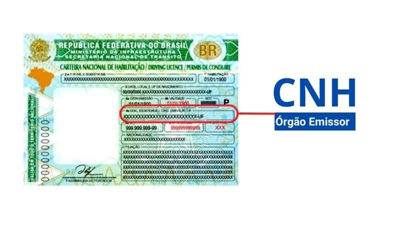 Como encontrar o Órgão Emissor na Carteira de Motorista CNH