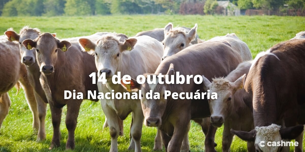 Dia Nacional da Pecuária: saiba porquê ela é importante para a economia do Brasil