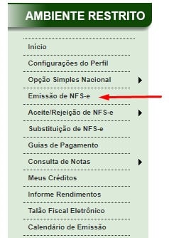 Escolha a categoria de emissão de NFS-e